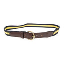 MULTI DRAKE'S STRIPED WEB BELT