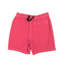 Stussy Mountain Short - Pink