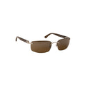 Cartier Rectangle Buffalohorn Sunglasses - Silver