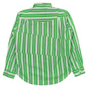 Phipps L/S Rockhound Shirt Tectonic Stripe - Green