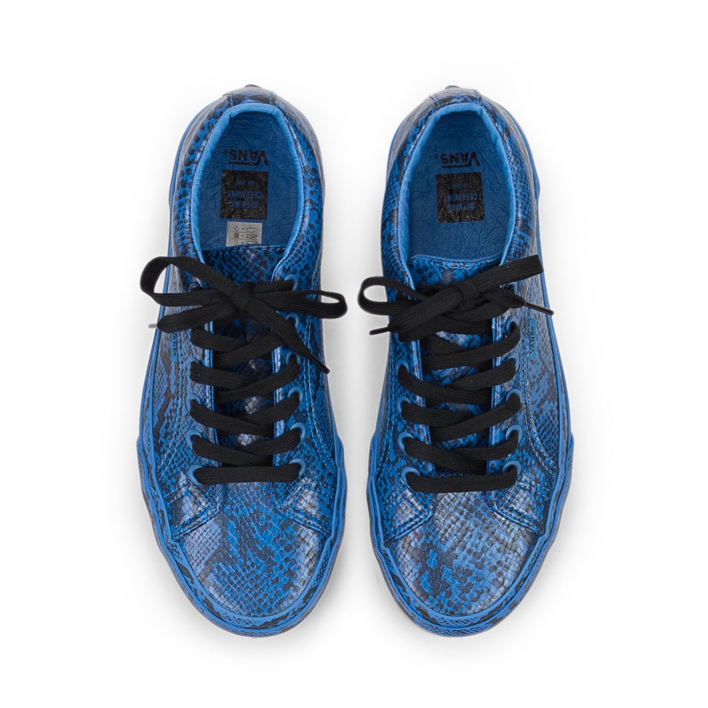 SNAKE LAMPIN PRINCESS BLUE BLACK SNEAKERS