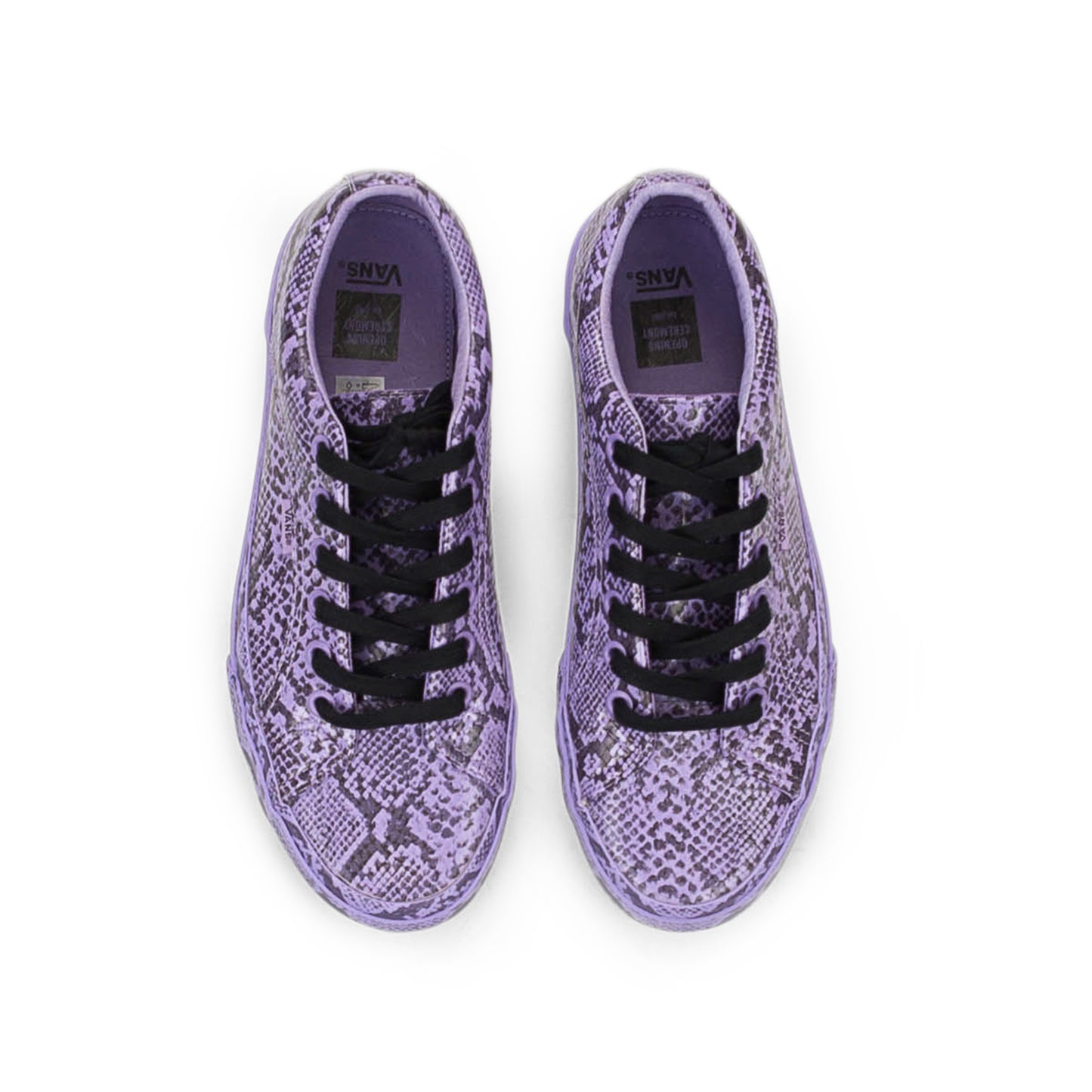 SNAKE LAMPIN PURPLE SNEAKERS