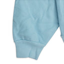 WEB BABY BLUE HOODIE & SWEATSHIRT