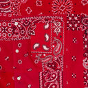 RED BANDANA SHIRT