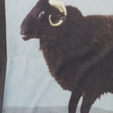 BLACK DAMIEN HIRST BUFFALO SWEATER