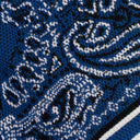 BLUE/BLACK BANDANA B-BALL SHORTS