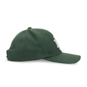 GREEN LOGO SNAPBACK HAT