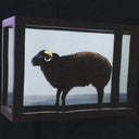 BLACK SHEEP T-SHIRT