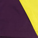 NEON PURPLE GORETEX X NORTH FACE JACKET