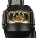 BLACK SWAN SLIDES