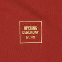 BROWN MINI BOX LOGO HOODIE