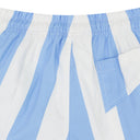 BLUE LOGO STRIPED SWIM TRUNKS