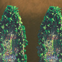 GREEN GARDEN GLASS SWEATSHIRT