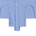 INDIGO ARCHES BUTTON-DOWN SHIRT