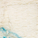 MULTICOLOR HUSK DENIM SHORTS