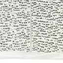 OFF-WHITE RIPPLE VEST