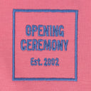 Pink Mini Box Logo T-Shirt