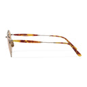 Brown Coppola Sunglasses