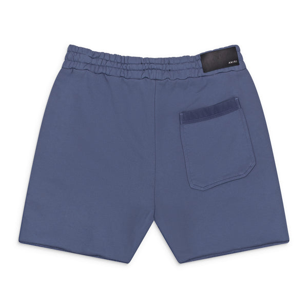 Bluefin 22 Shorts