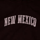 Burgundy New Mexico Feather Trim Hoodie