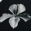 Black Mapplethorpe Woven Shirt