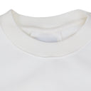 Beige Catamaran Champion Crewneck