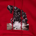 Red SRCA Graphic 3 Hoodie