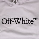 Light Stone Big Bookish Skate Hoodie