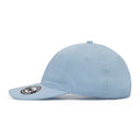 Blue Panther Cap