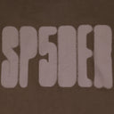 Brown Focused Logo T-Shirt