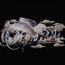 Black Pegasus Script Logo Tee