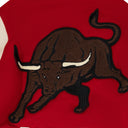 Red Bull Varsity Bomber