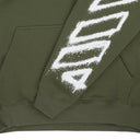Winter Moss Spray Can Arrow Skate Hoodie