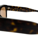 Brown Classic Logo Sunglasses