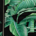 Green And Black Nylon 'Banana Leaves' Hooded Jacket