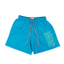 Blue Nylon Outline Logo Print Shorts